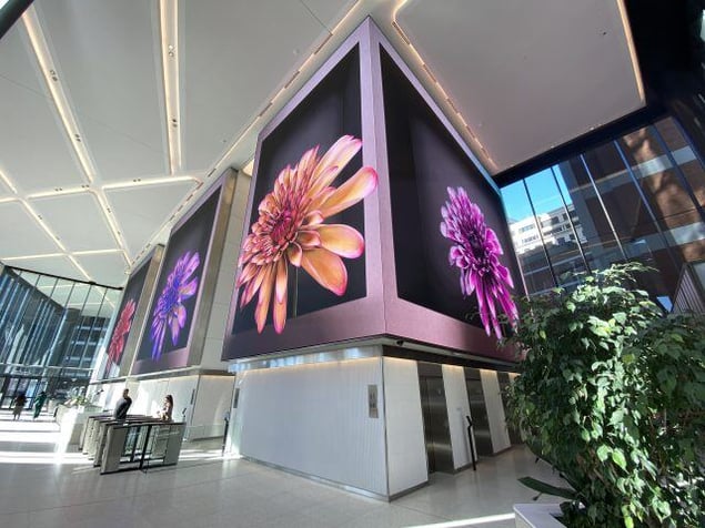 BloomingFlowers_SYD-640x480