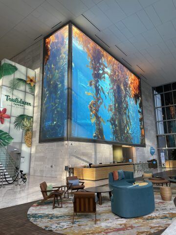 MontereyBayAquarium_KelpForest-360x480